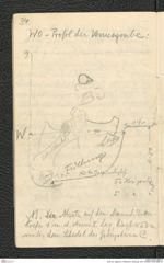 Seite 36, Tagebuch "Willendorf | Grabung 1927" (NHMW-PRAE-BBB-37)